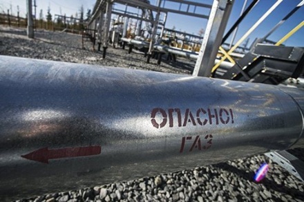 Владимир Путин назвал недостаточными темпы газификации России