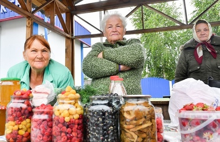 Названы самые распространённые профессии работающих пенсионеров в России