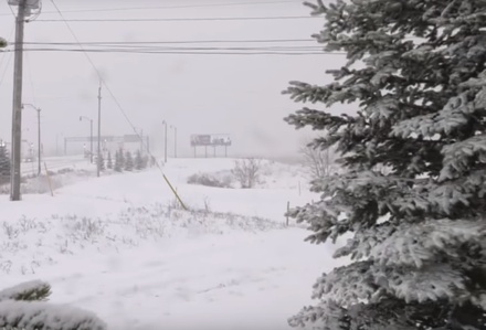 Почти 70 тысяч потребителей остались без света на востоке Канады из-за снежного шторма