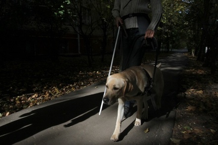 Минтруд пообещал компенсировать затраты на собаку-проводника инвалидам