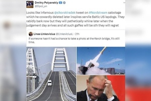 Посол Литвы в Швеции намекнул на готовящийся удар по Крымскому мосту
