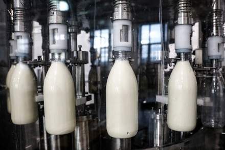 В России за три месяца изъяли более 19 тонн некачественной молочной продукции