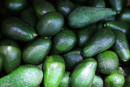 Диетолог заявил о пользе авокадо при борьбе с облысением