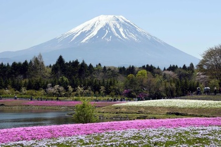 Власти Японии временно ограничили доступ к горе Фудзи после гибели туристки из РФ
