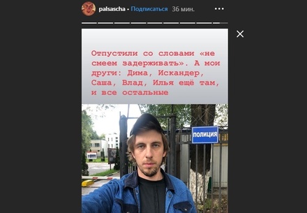 Актёра Александра Паля отпустили из полиции