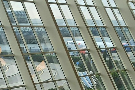 Летевший с Гоа в Москву самолёт произвёл экстренную посадку в Баку