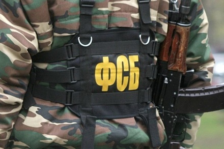 Сотрудники ФСБ нашли более 30 почтовых посылок с оружием и боеприпасами