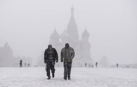 Экологи сообщили, что выпавший в Москве снег очистил воздух