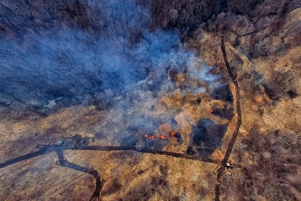 В Приморском крае вспыхнули лесные пожары из-за малоснежной зимы