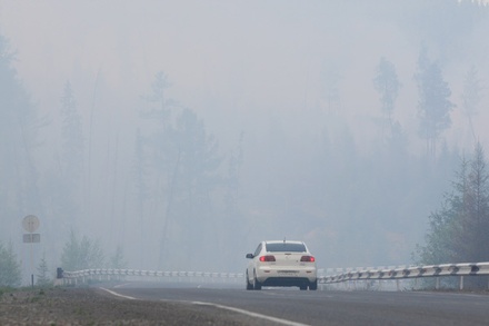 Лесной пожар в Тверской области угрожает Подмосковью и трассе М-10