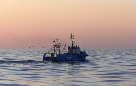 Увеличена группировка судов в районе поиска траулера «Восток» в Японском море
