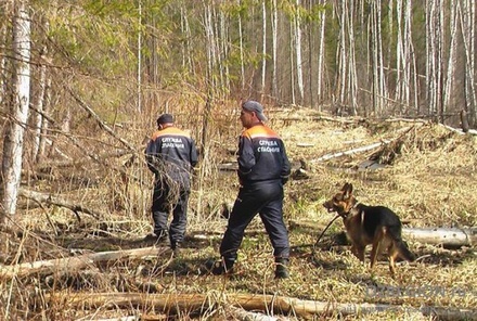 Служебная собака нашла в якутском лесу пропавшую шестилетнюю девочку