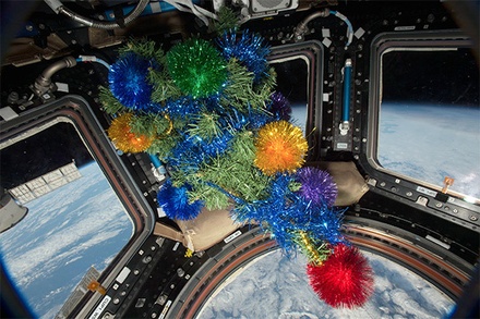 Космонавты рассказали, как будут отмечать Новый год на МКС