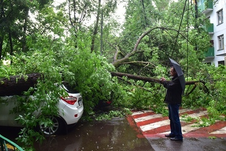 Пять автомобилей повреждены упавшими деревьями во время грозы в Москве