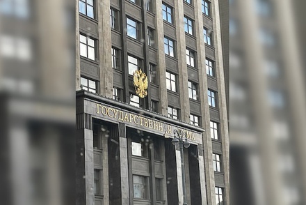В управделами президента пообещали вернуть упавшую с фасада Госдумы букву «А»