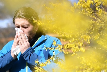 Врачи заявили о начале сезона аллергии в Центральной России