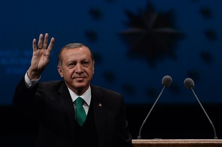 Большинство турецких граждан поддерживает расширение президентских полномочий