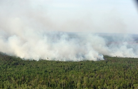 Площадь лесных пожаров в Иркутской области сократилась почти в три раза