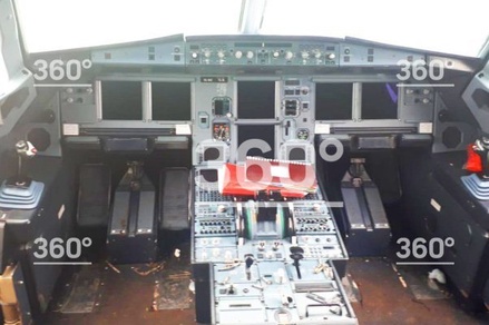В сети появились новые фото экстренно севшего в Жуковском Airbus A321