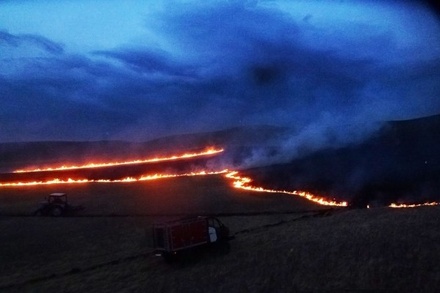 Природный пожар перекинулся на заповедник «Хакасский»