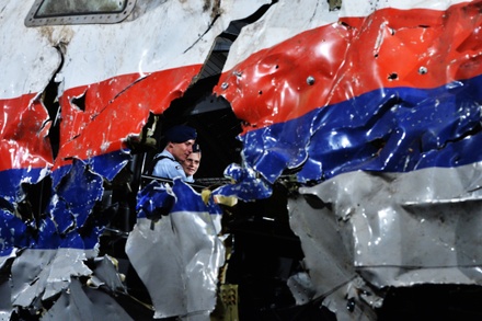 В Совфеде заявили о недоверии к нидерландскому суду в деле о крушении MH17