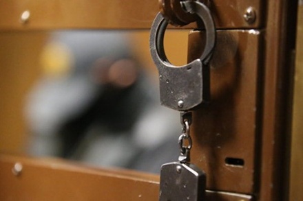 Во ФСИН подтвердили арест четырёх иностранных болельщиков в Москве