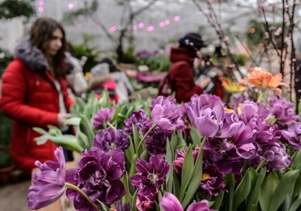 Instagram разблокировал аккаунт Ботанического сада МГУ