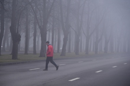 Подмосковная ГИБДД предупредила автомобилистов о тумане