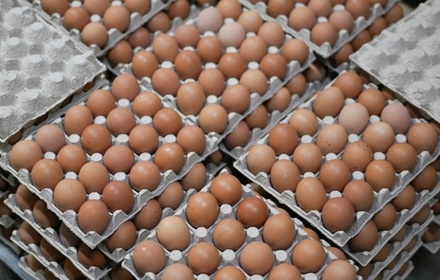 Азербайджан поставил в Россию 1,5 млн куриных яиц
