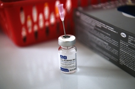 Гвинея одобрила использование российской вакцины «Спутник V»
