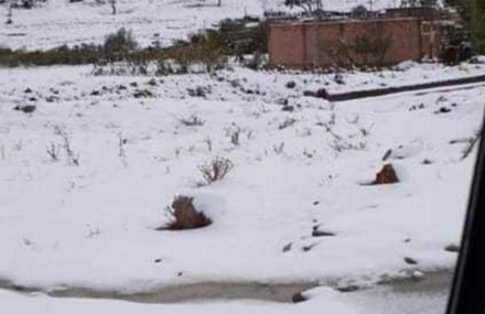 Алжир и Марокко засыпало снегом