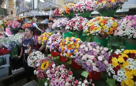 Цветы в РФ могут подорожать на 25% из-за ограничения поставок из Нидерландов