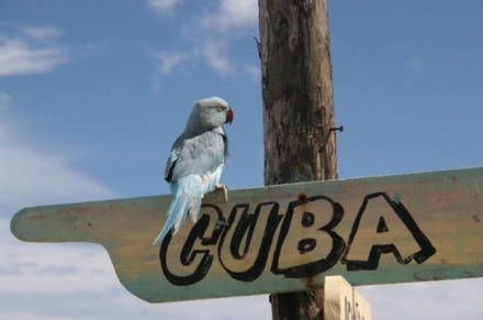 АТОР: всех туристов эвакуируют с Кубы до 24 марта
