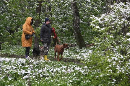 В столичном регионе за минувшие сутки выпало больше трети месячной нормы осадков