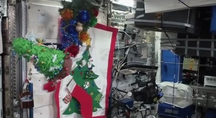 На МКС нарядили новогоднюю ёлку