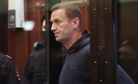 Россия предоставила в ОЗХО ответ на запрос 45 стран по ситуации с Навальным