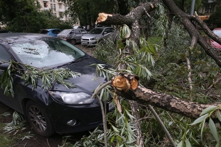 Росгосстрах оценил ущерб от урагана в Москве и Подмосковье в 25 миллионов рублей