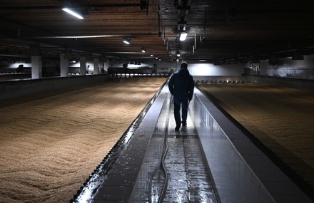 Минобороны РФ предупредило о риске срыва продления «зерновой сделки»