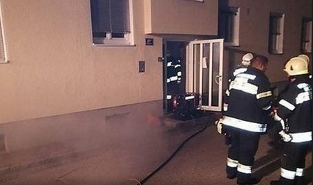 В Австрии кот спас от пожара жильцов многоквартирного дома