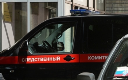 СКР завёл дело против подозреваемых в причастности к «Правому сектору» граждан РФ
