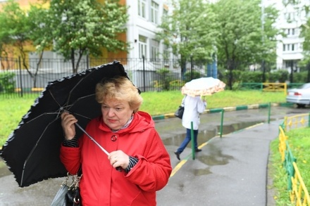 Скорость ветра в Москве в минувшую ночь не превышала 1 метра в секунду