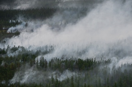 В Сибири горит больше 14 тысяч гектаров леса