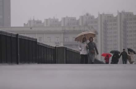 Власти Москвы предупредили о ветре до 22 м/с до конца воскресенья