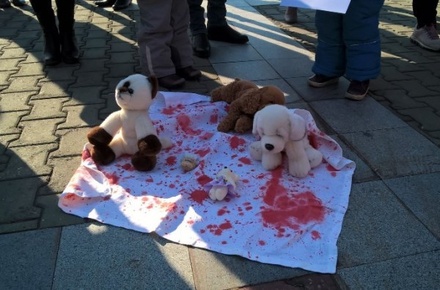 В Хабаровске прошёл пикет против жестокого обращения с животными