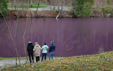 В Баварии водоём окрасился в пурпурный цвет из-за природного явления