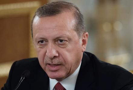 Эрдоган пригрозил не пускать голландских дипломатов в Турцию