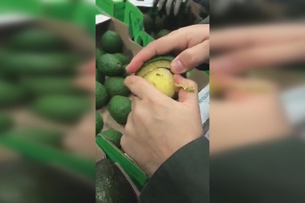 В Колумбии полицейские нашли 468 килограммов кокаина в косточках авокадо