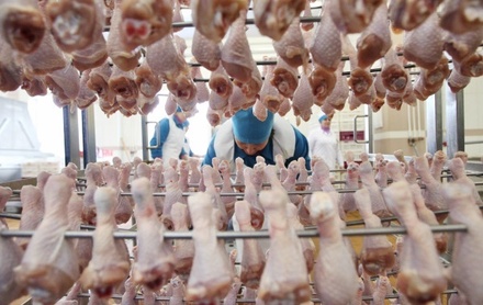 В Россельхознадзоре не связывают запрет на поставку мяса турецкой компании с политикой