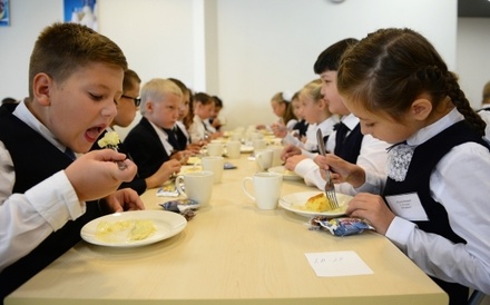 Владимирская чиновница объяснила свои слова об организации питания школьников  