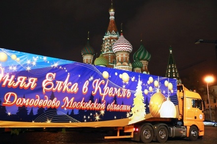 Главная новогодняя ёлка России доставлена в московский Кремль